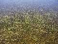 image numrique (grand_rocher_110-1042.jpg 201 ko)